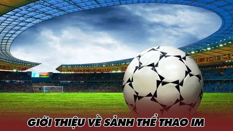 Lý do nên chơi cá cược tại sảnh IM Thể Thao bongda