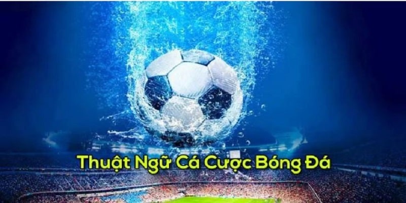 Thuật ngữ trong cá độ bóng đá